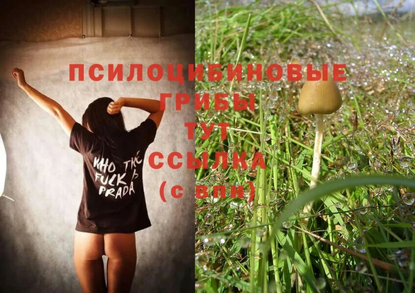 a pvp Абинск